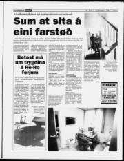 Síða 7