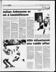 Síða 13