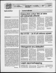 Síða 2