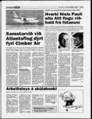 Síða 3