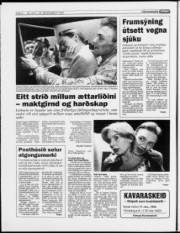 Síða 6