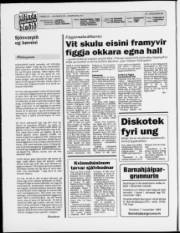 Síða 2