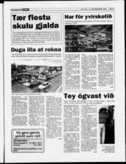 Síða 3
