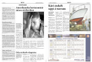 Síða 2