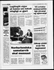 Síða 11