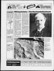 Síða 16