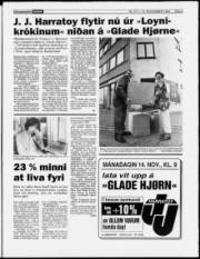Síða 3