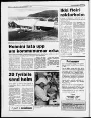 Síða 4