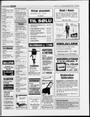 Síða 21