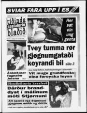 Síða 1