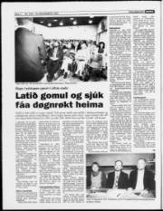 Síða 4