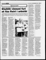 Síða 13