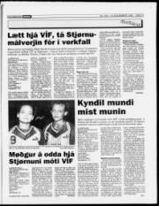 Síða 17