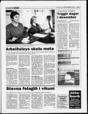 Síða 3