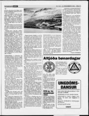 Síða 13