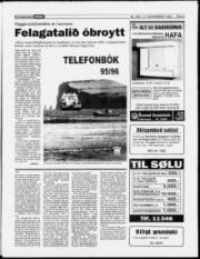 Síða 3