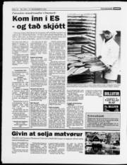 Síða 10
