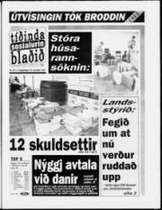Síða 1