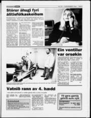 Síða 5