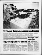 Síða 6