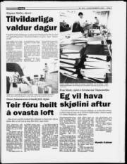 Síða 7