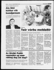 Síða 8
