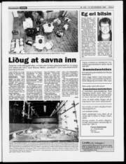 Síða 3