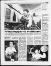 Síða 12