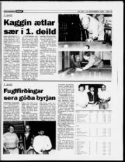 Síða 15