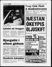 Síða 5