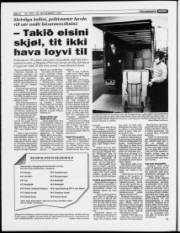 Síða 6