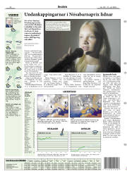 Síða 17