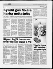 Síða 11