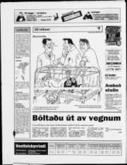 Síða 20