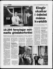Síða 3