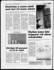 Síða 6