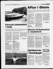 Síða 8