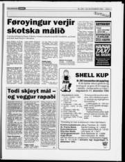 Síða 11
