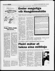 Síða 13