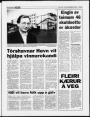 Síða 3