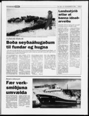 Síða 5