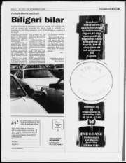 Síða 8