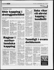 Síða 13