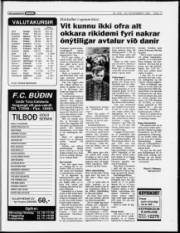 Síða 17