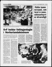 Síða 3