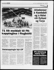 Síða 15