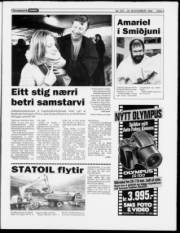 Síða 3