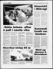 Síða 9