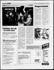 Síða 19