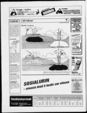 Síða 28